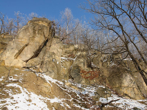 Perete de gresii (c) Petru Goja